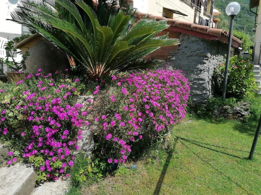 Salto Chiesa Casa Andreinaヴィラ エクステリア 写真